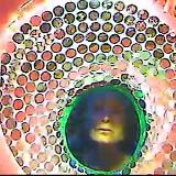 81120165944