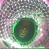 101228004707
