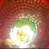 171126093658