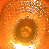June2023 7027