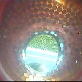 March26 10013