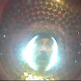 May2026 10105
