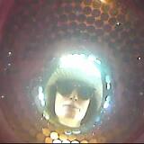 May2026 10109