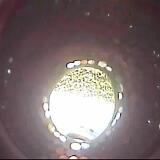 May2026 10143