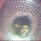 May2026 10146