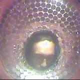 May2026 10159