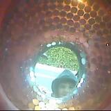 April2026 10047