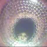 April2026 10052