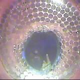 April2026 10070